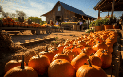Exploring Pumpkin Patches in October: RV Texas Adventure